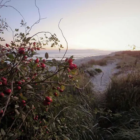 Apartment In 34953 Börgerende-Rethwisch